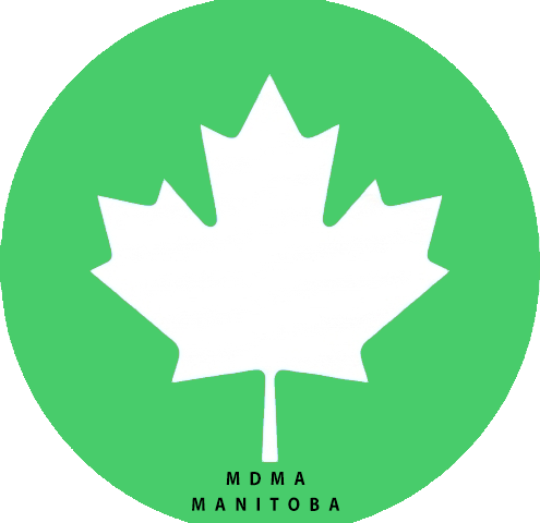 Infographic covering MDMA facts, mental health considerations, and harm reduction information.
